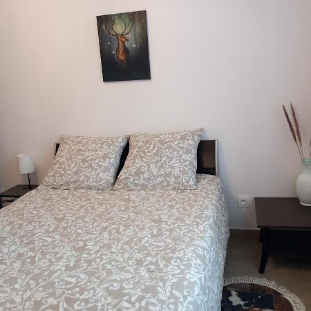 Beau F2-5Mn Aeroport D'Orly-Parking Prive Gratuit Apartment Paray-Vieille-Poste ภายนอก รูปภาพ